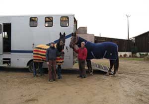 horses and horse box