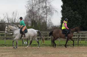 horses and horse box