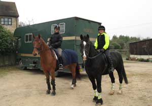 horses and horse box